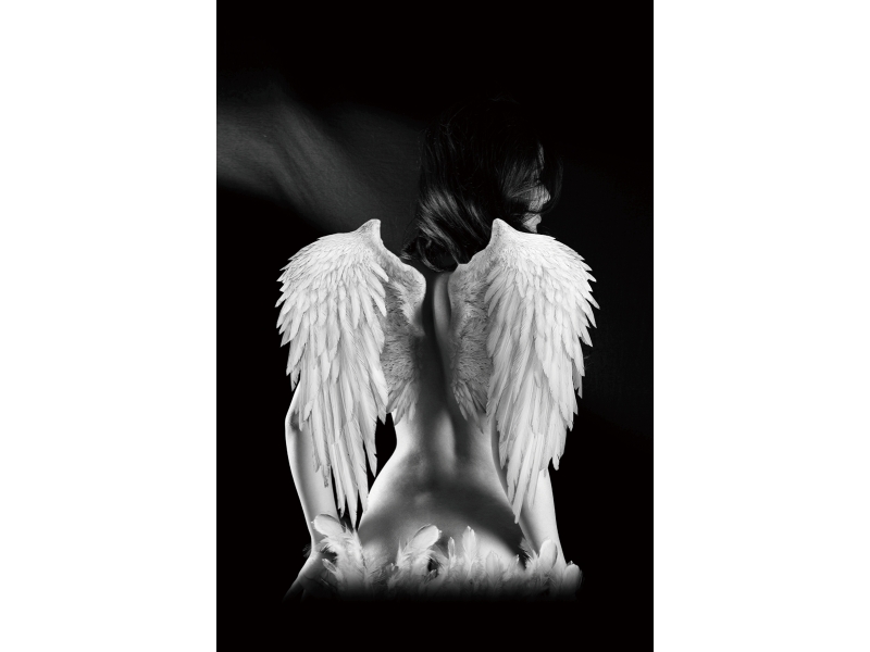Lady Angel 80x120