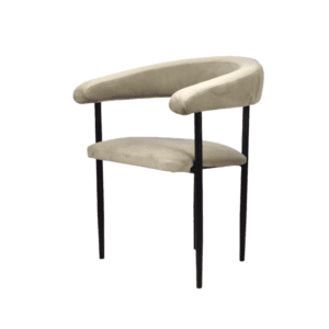Chair NEMO
